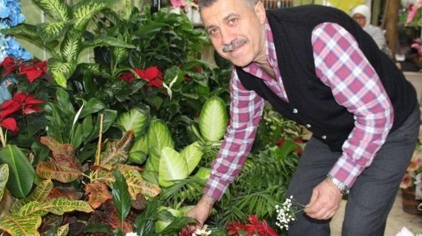 Ordulu &Ccedil;i&ccedil;ek&ccedil;ilerde 24 Kasım Bereketi