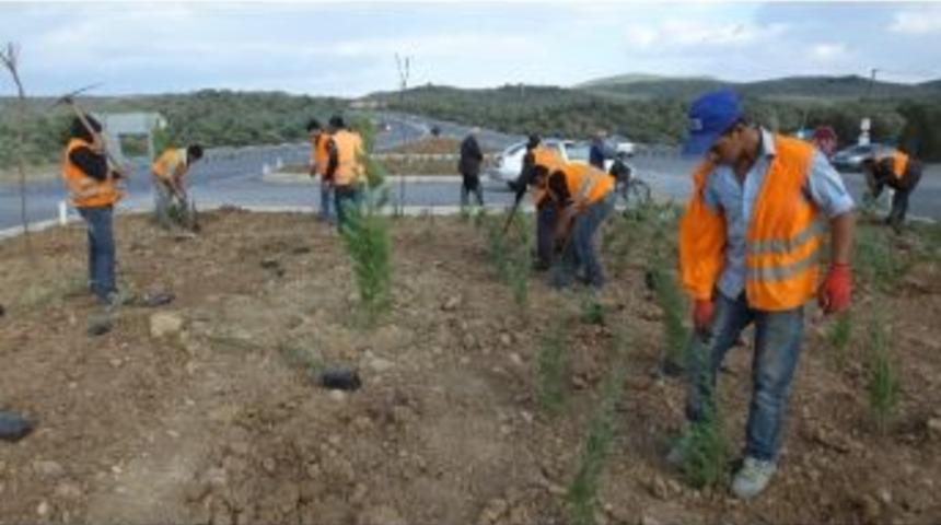 &Ccedil;anakkale İzmir Karayolu Yeşillendiriliyor