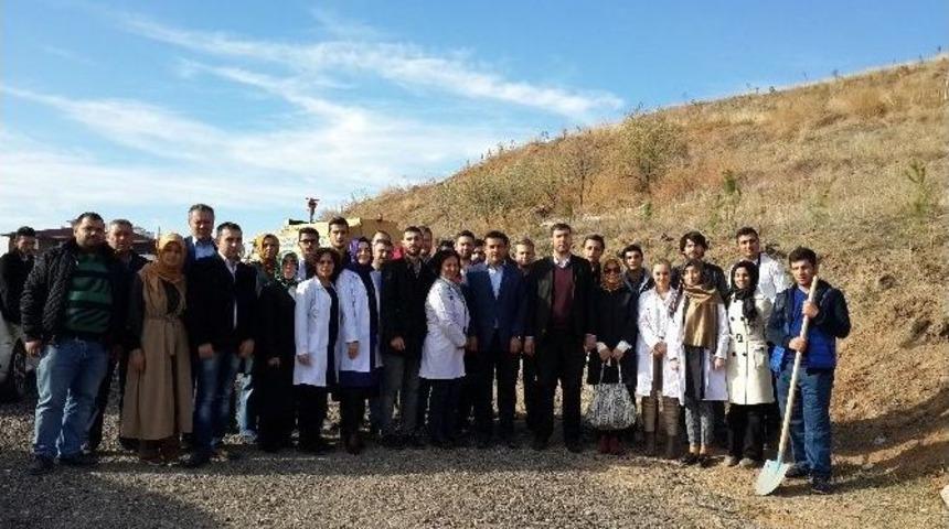 Ak Parti G&ouml;lbaşı Teşkilatı 24 Kasım&rsquo;da 24 Fidan Dikti.