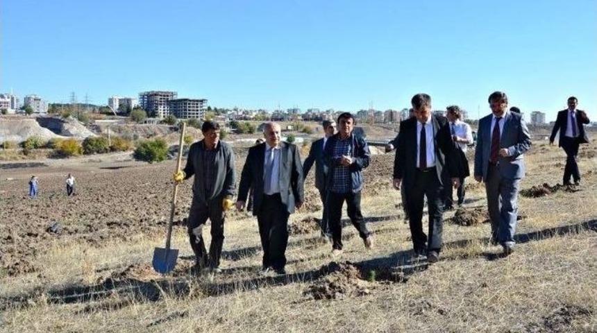 &Uuml;niversite Kampus Alanı İ&ccedil;erisinde Fidan Dikimi Yapıldı