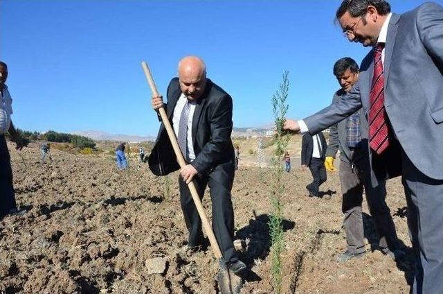 Üniversite Kampus Alanı İçerisinde Fidan Dikimi Yapıldı