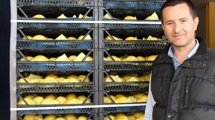 Rusya&rsquo;ya İhracat Yapan Meyve &Uuml;reticileri Tedirgin