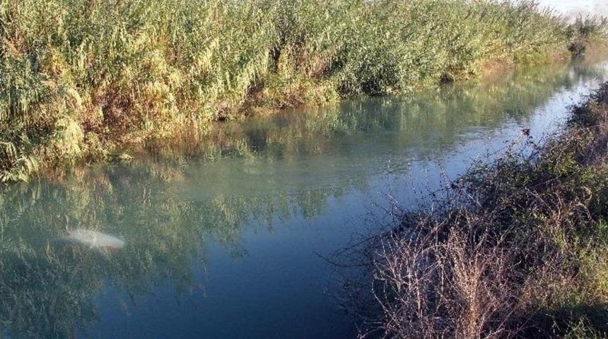 (&ouml;zel Haber) Ara&ccedil; Tamirine Gitti Can Kurtardı