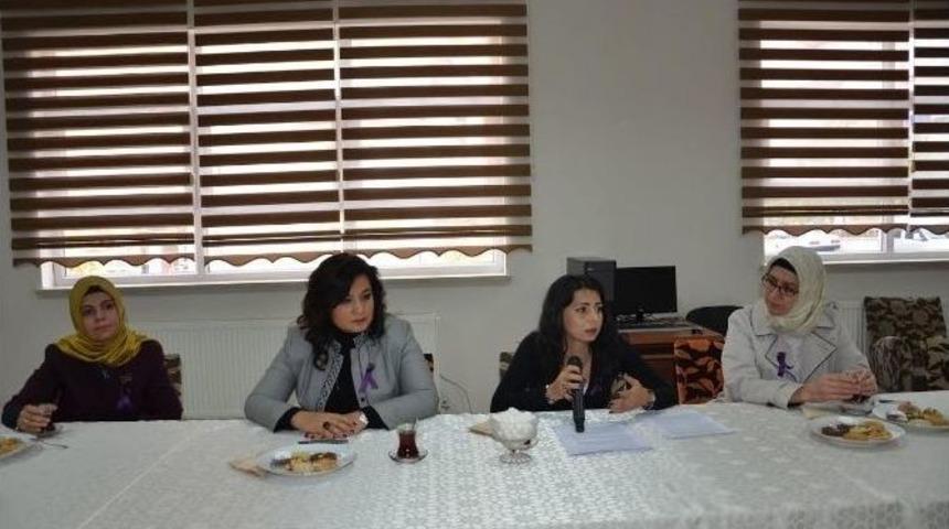 &ldquo;kadına Şiddete Hayır&rdquo; Semineri D&uuml;zenlendi