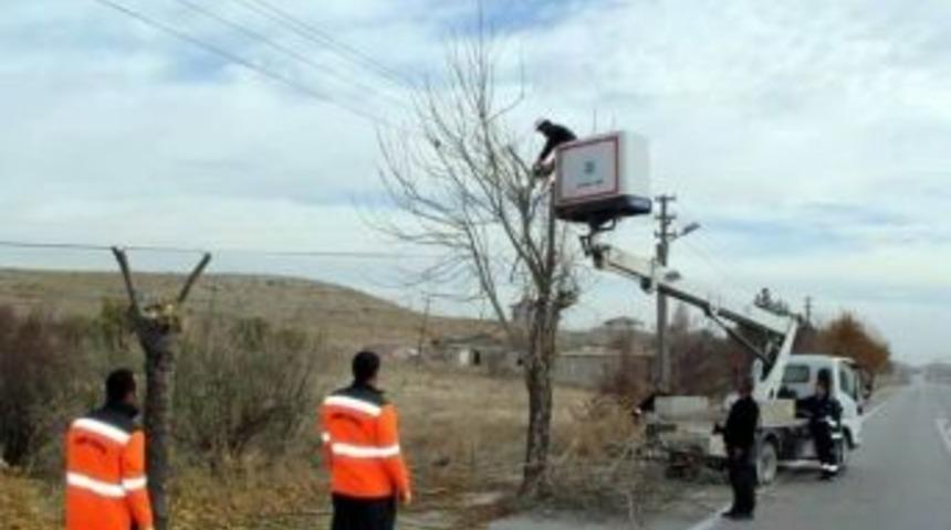 Cihanbeyli&rsquo;de Ağa&ccedil;lar Budanıyor