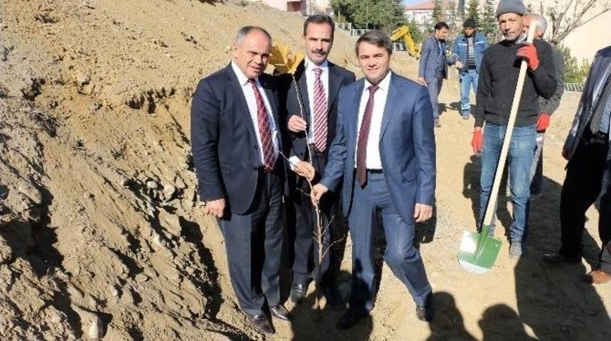 &Ouml;ğretmenler G&uuml;n&uuml;nde Yahyalı&rsquo;da &Ccedil;ınar Dikildi