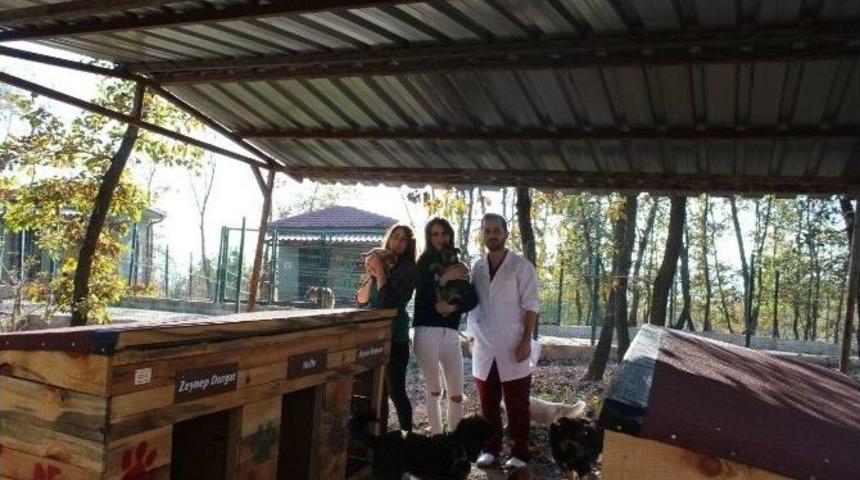 &ldquo;bir Pati De Sen Tut&rdquo; Projesinde 18 Adet Kul&uuml;be Yapıldı