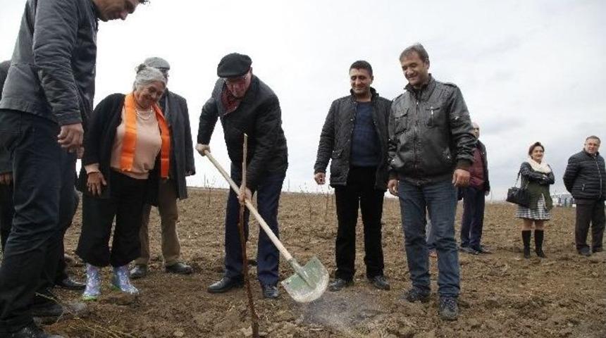 Kadınlar &Ouml;zg&uuml;rl&uuml;ğe G&uuml;vercin U&ccedil;urdu