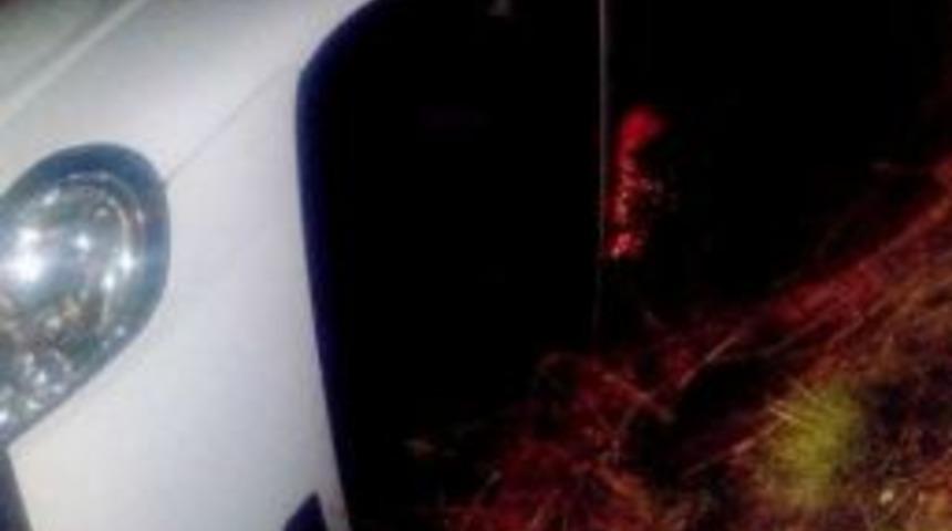 Aşırı Yağış Nedeniyle Minibüs Şarampole Devrildi