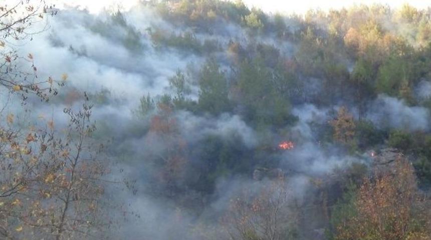 D&uuml;zi&ccedil;i&rsquo;ndeki Orman Yangını 1 Haftadır Devam Ediyor
