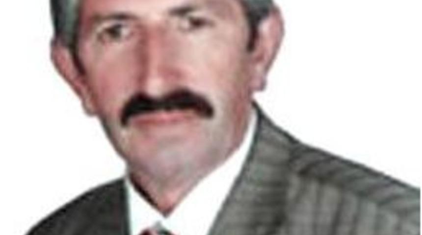 Ayı Saldırısında Son Kararı Danıştay Verecek