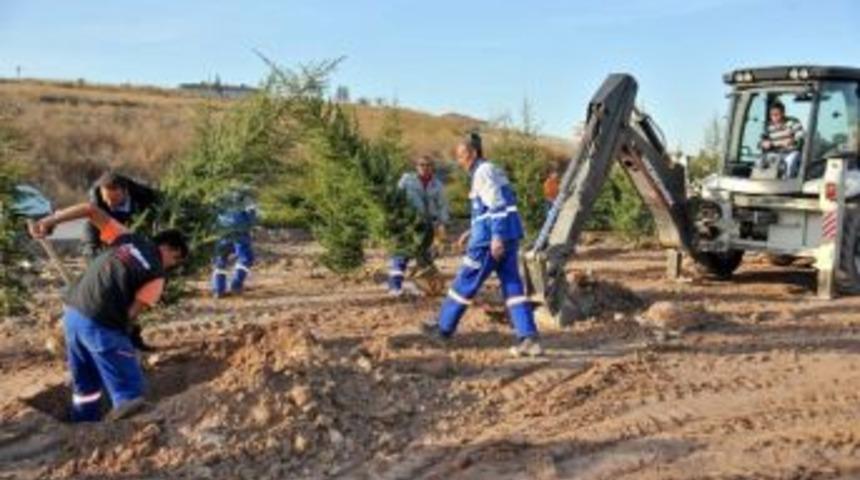 Altındağ&rsquo;da Yeşil Alanların Sayısı Artıyor