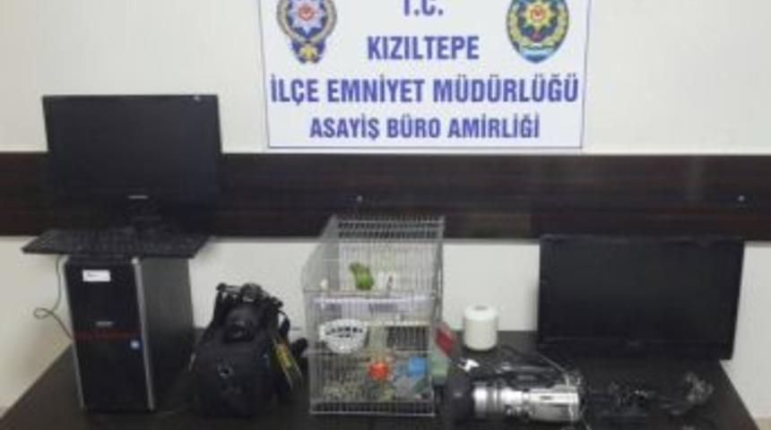 Mardin&rsquo;de Hırsızlık İddiasıyla 3 Kişi Tutuklandı