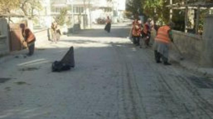 Beyşehir&rsquo;de Yaprak Toplama Mesaisi