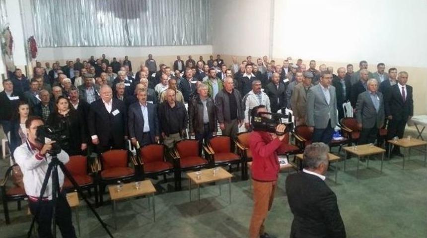 S&ouml;ke Tariş Se&ccedil;im Heyecanı Yaşadı