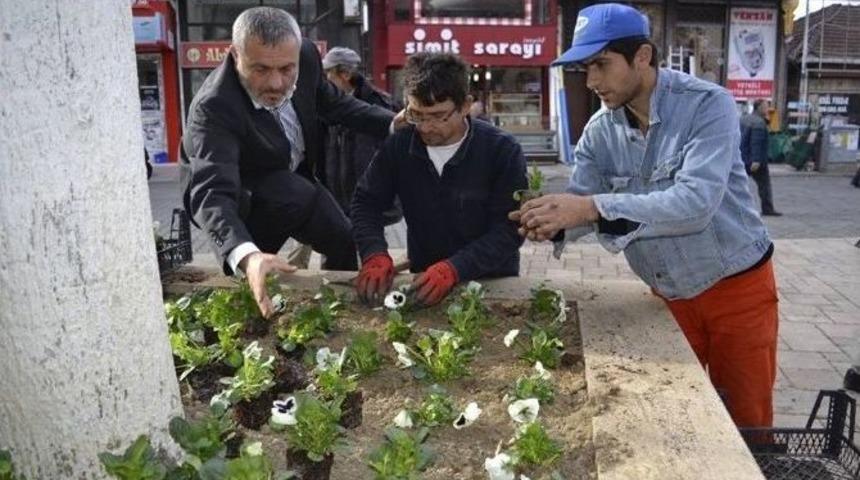 Alaplı&rsquo;da 25 Bin &Ccedil;i&ccedil;ek Dikilecek