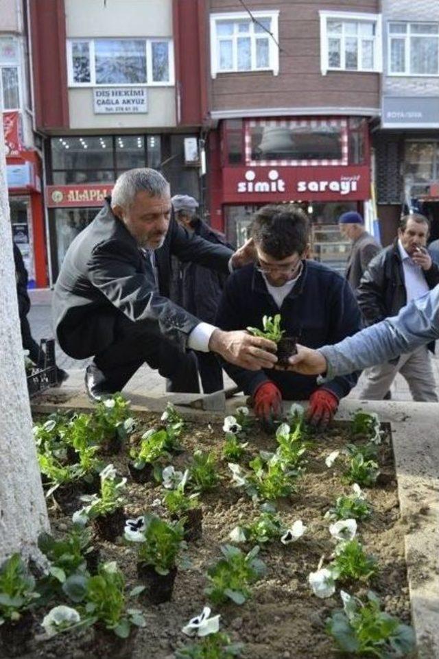 Alaplı’da 25 Bin Çiçek Dikilecek