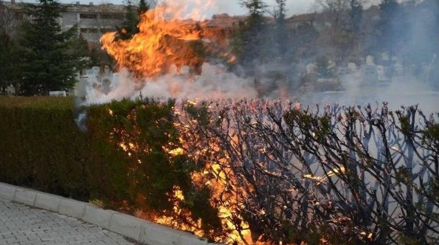 Kulu Mezarlığında Yangın