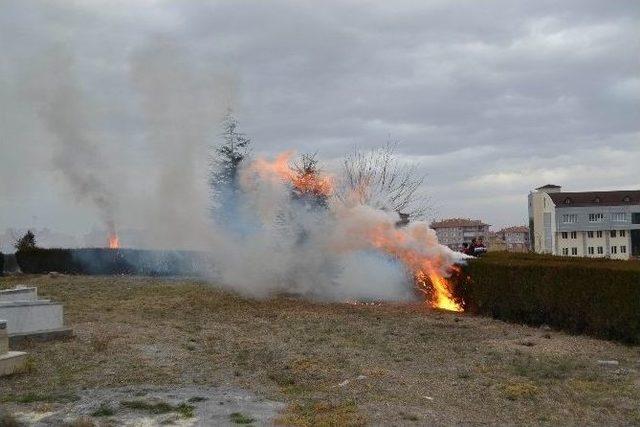 Kulu Mezarlığında Yangın