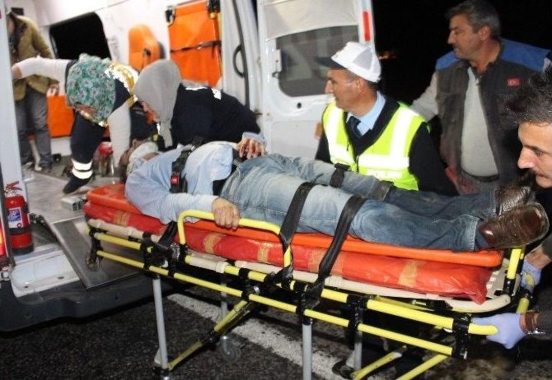 Yola &Ccedil;ıkan Domuz Faciaya Neden Oldu: 3 &Ouml;l&uuml;, 2 Yaralı