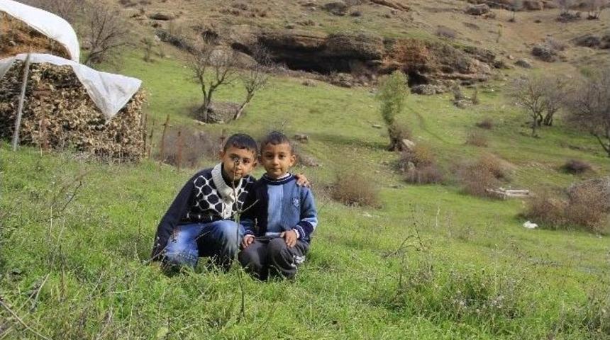 Hakkari 4 Mevsim Bir Arada Yaşanıyor