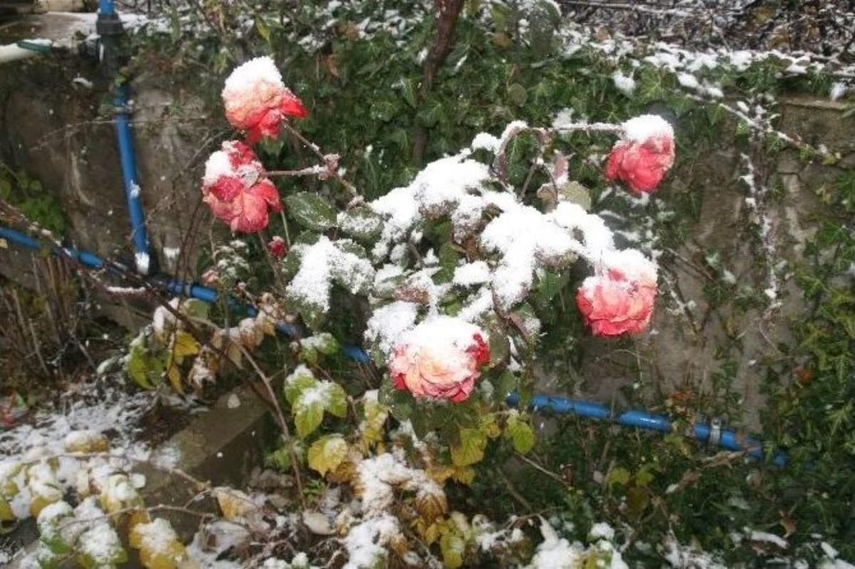 Yozgat&rsquo;ta Kar Yağdı