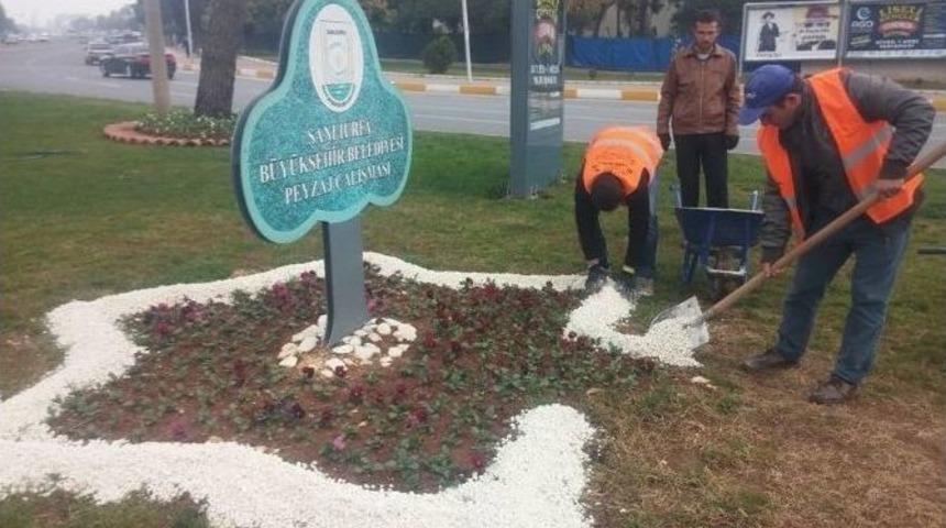Şanlıurfa&rsquo;nın En B&uuml;y&uuml;k Kavşağına &Ccedil;i&ccedil;ek Ekildi