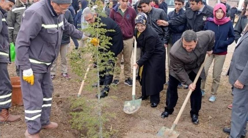 Meram&rsquo;da Şehit Aileleri Hatıra Ormanı Oluşturuldu