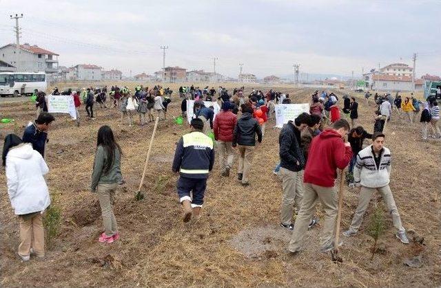 Meram’da Şehit Aileleri Hatıra Ormanı Oluşturuldu