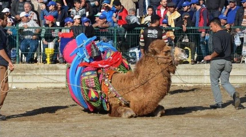 At&ccedil;a&rsquo;da Develer Kimsesiz &Ccedil;ocukların Yararına G&uuml;reşti