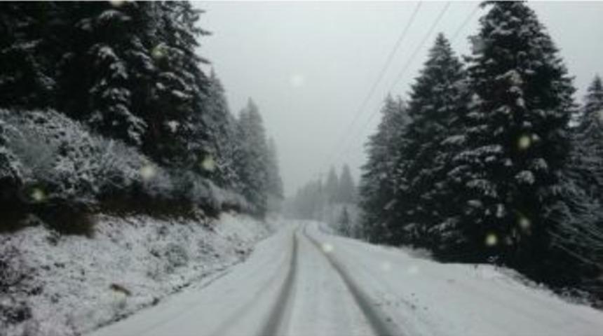 Yaylalar Beyaza B&uuml;r&uuml;nd&uuml;