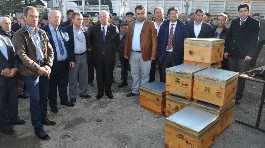Arıcılara Hediye Kovan