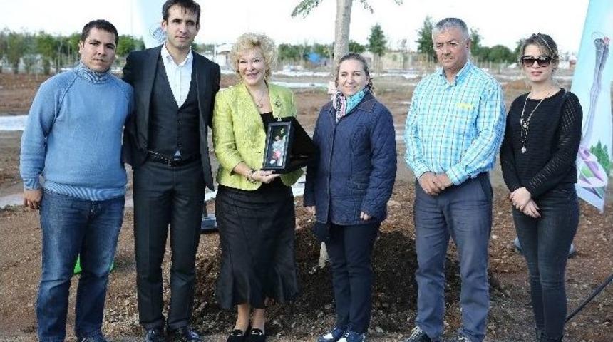 Devlet Sanat&ccedil;ısından Expo Alanına Jakaranda Ağacı