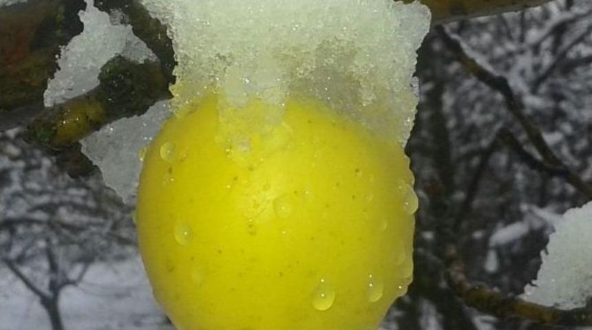 Gevaş&rsquo;a Mevsimin İlk Karı Yağdı