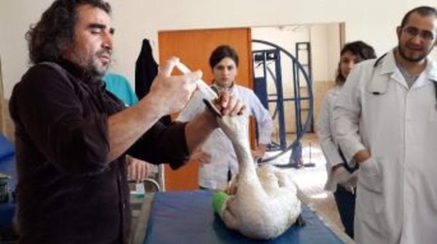 Yaban Hayvanları İ&ccedil;in Seferberlik