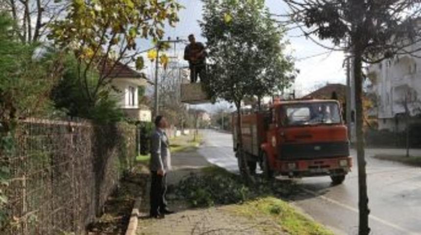 Sapanca İpekyolu Caddesi&rsquo;ne &Ccedil;evre Bakımı Yapıldı