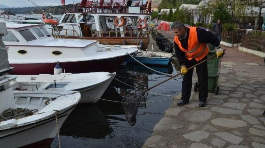 Sinop&rsquo;ta Sahiller Temizleniyor