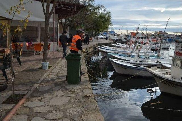 Sinop’ta Sahiller Temizleniyor