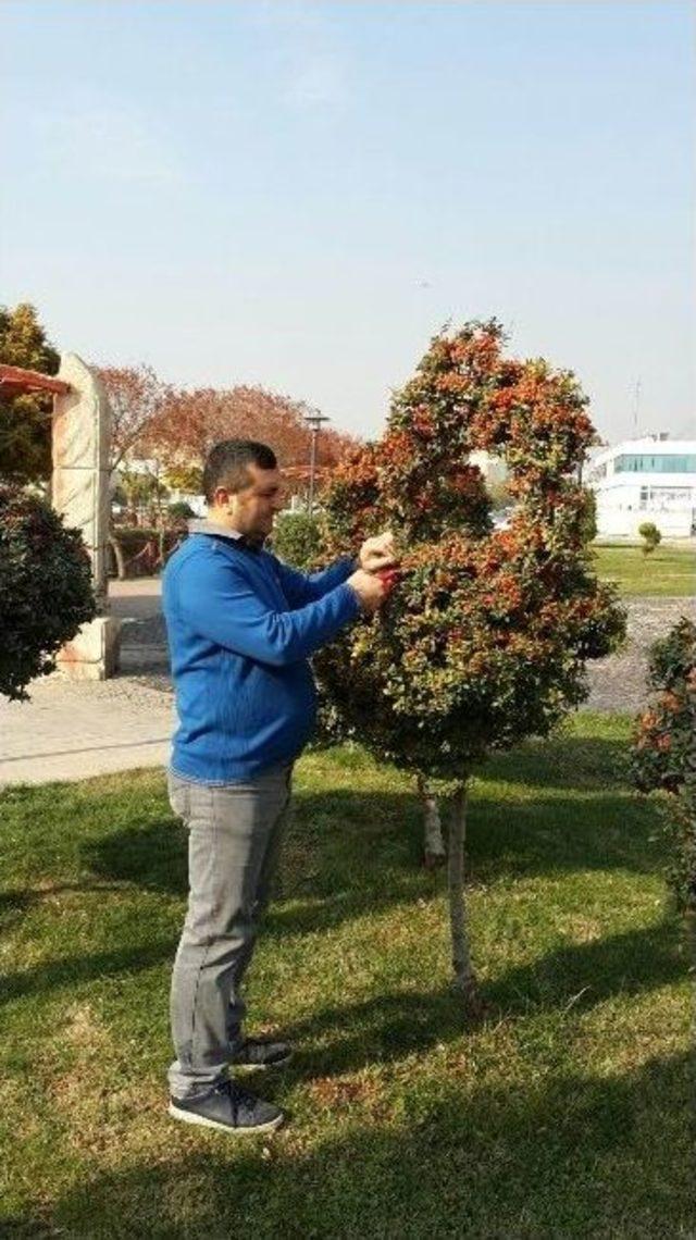 Şanlıurfa’daki Park Bahçe Bitkilerinin Peyzajı Çıkarılıyor
