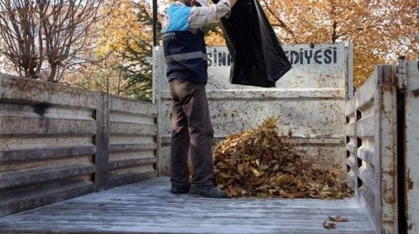 Kuruyan Yapraklardan Organik G&uuml;bre &Uuml;retiliyor