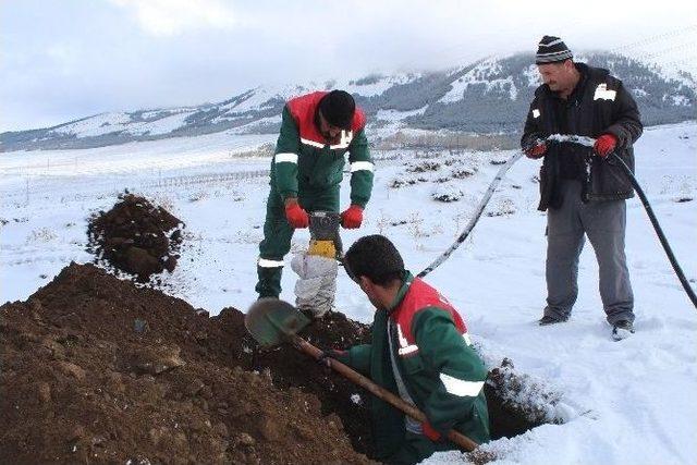 Doğu’da Kışın Ölmek Zor