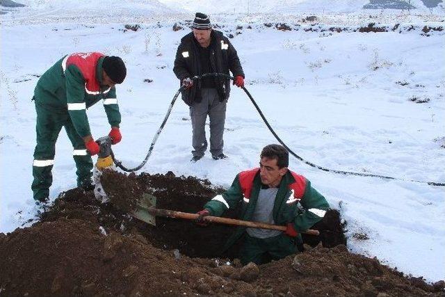 Doğu’da Kışın Ölmek Zor