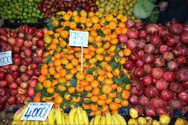 Rusya’nın Türkiye’nin Tarım Ürünlerine İhraç Yasağı Getirmesi