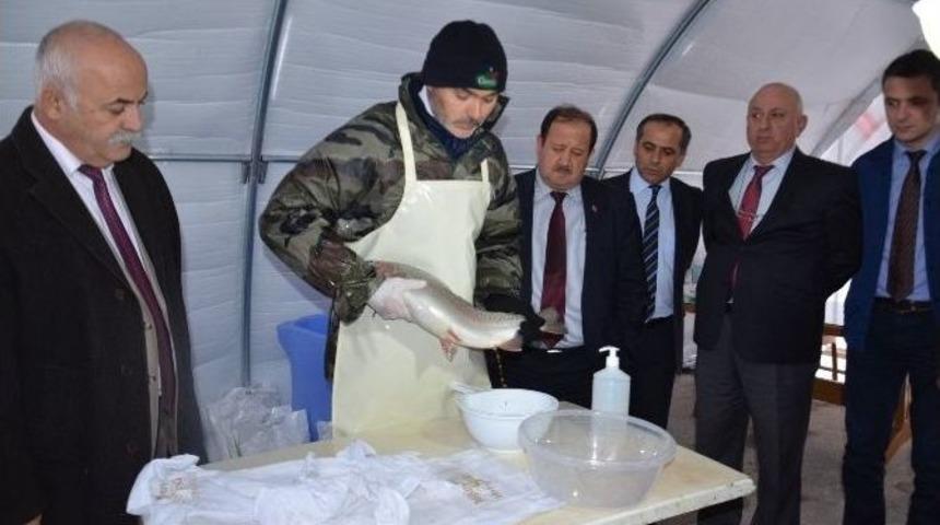 Bafra&rsquo;dan Almanya&rsquo;ya Havyar İhra&ccedil; Edilecek