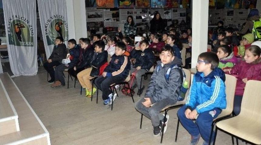 T&uuml;rkiye&rsquo;nin İlk Gergedanı &rsquo;samir&rsquo; Yoğun İlgi G&ouml;rd&uuml;