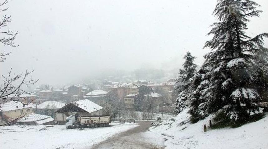 Yığılca Beyaz Gelinliğini Giydi