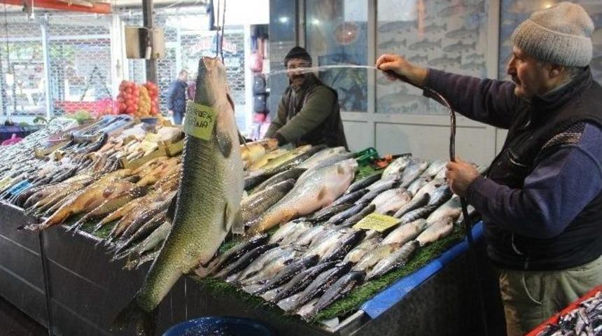 Elazığ&rsquo;da Dev Turna Balığı Yakalandı
