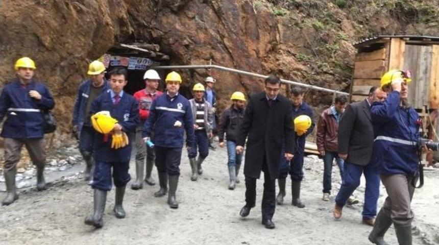 G&ouml;&ccedil;&uuml;k Olan Madende İnceleme