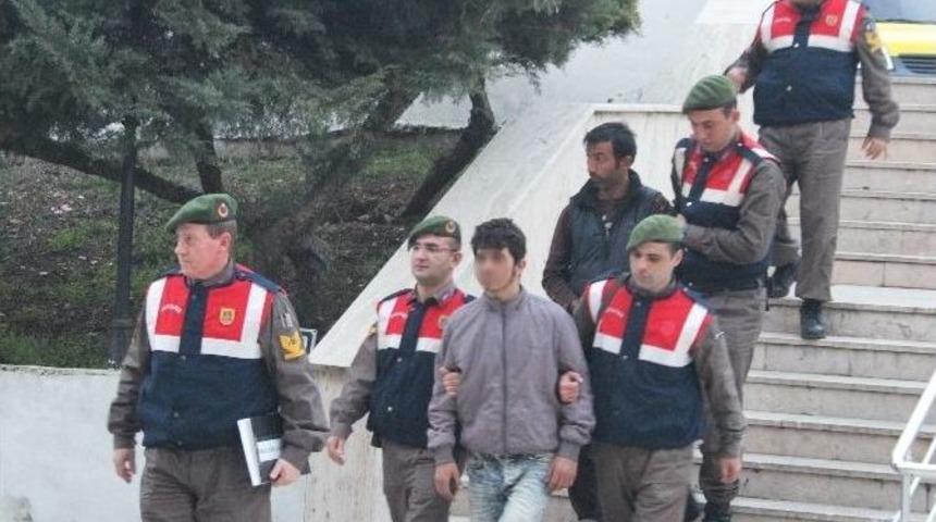 Hayvan Hırsızı Tutuklandı