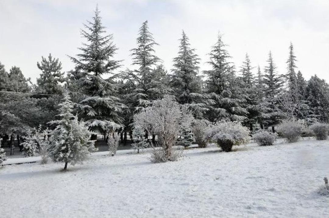Sorgun&rsquo;da Kar Yağışı İl&ccedil;eyi Beyaza B&uuml;r&uuml;d&uuml;